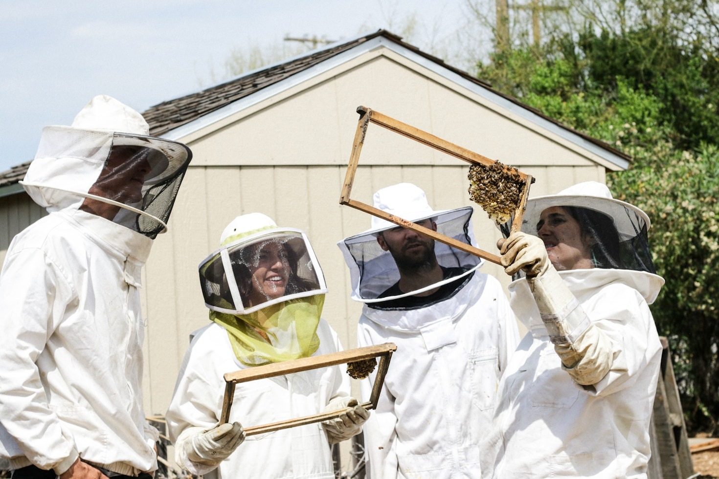 Why Multilingual Resources Matter for Beekeeping